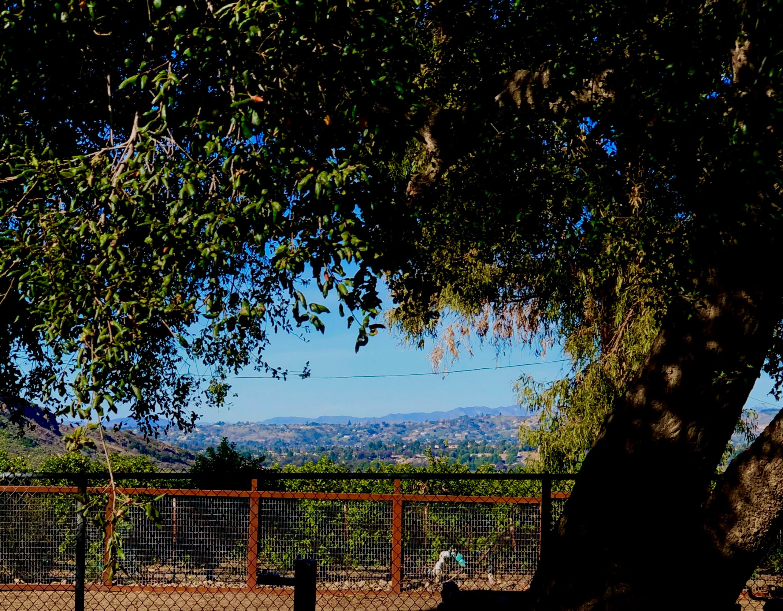 Camarillo